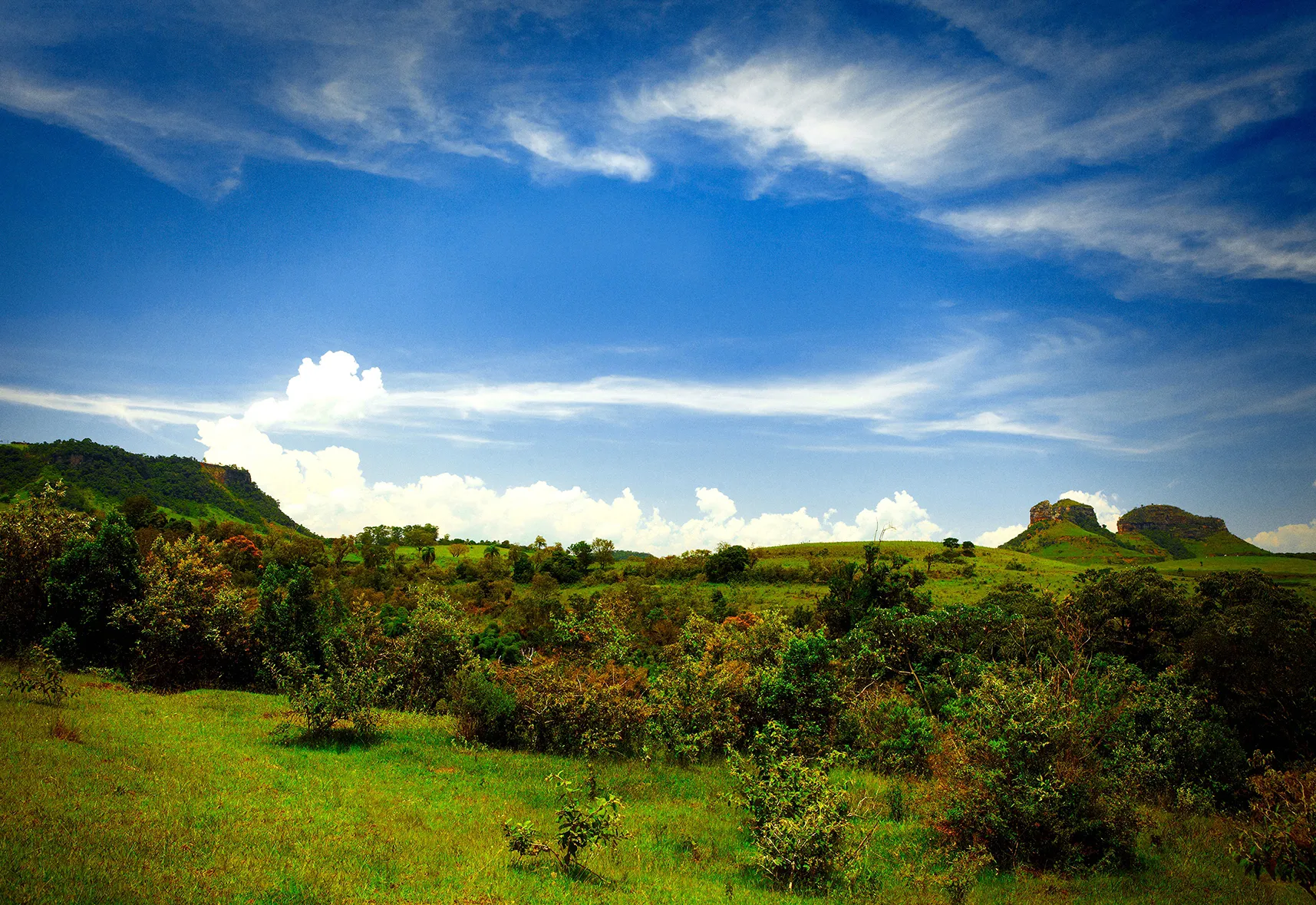 Bofete No Ranking MIT